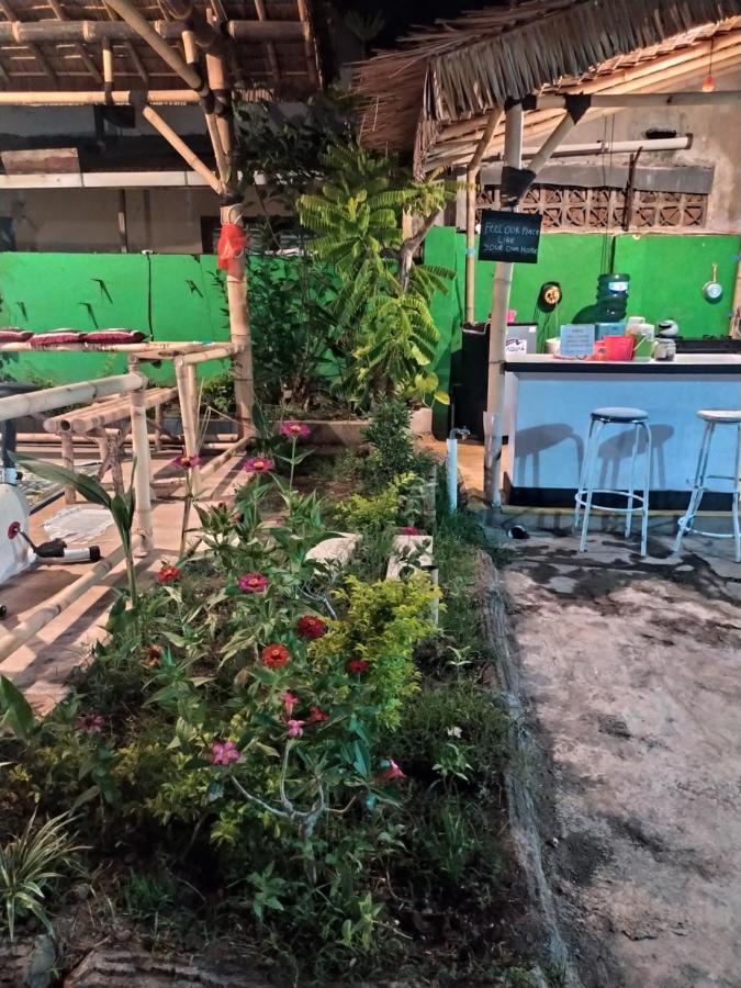Robiu Homestay Banyuwangi  Zewnętrze zdjęcie